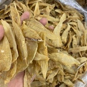 小金龍魚膠產(chǎn)地（金龍魚膠產(chǎn)地有哪些？）