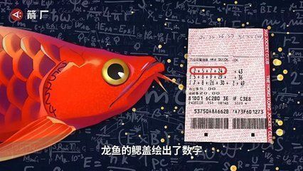 賣龍魚取一個(gè)店名字好嗎（賣龍魚取店名有必要嗎？）