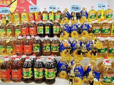 金龍魚買幾條好：金龍魚養幾條好