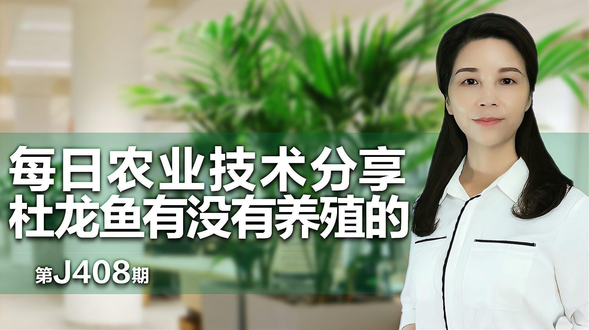 潮汕杜龍魚能養(yǎng)殖嗎有毒嗎視頻