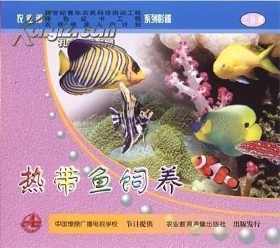 賣龍魚賺錢嗎現(xiàn)在還賺錢嗎：賣龍魚是否能賺錢成為一個值得探討的問題