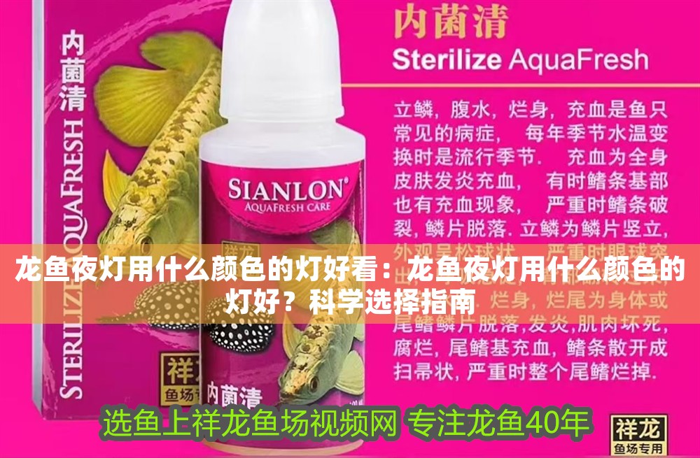 龍魚夜燈用什么顏色的燈好看：龍魚夜燈用什么顏色的燈好？科學選擇指南