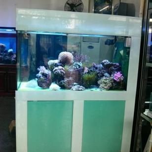 呼和浩特魚缸批發市場，-呼和浩特魚缸批發市場評價如何，有助于購買到滿意的魚缸