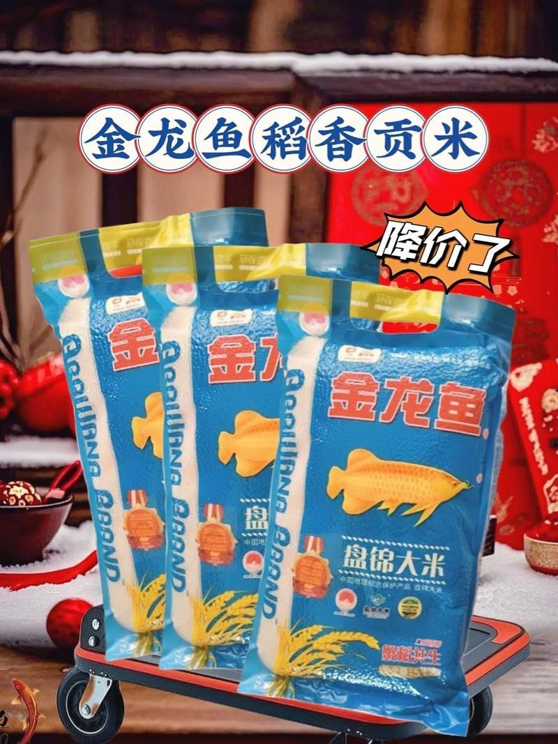 金龍魚軟香米怎么樣