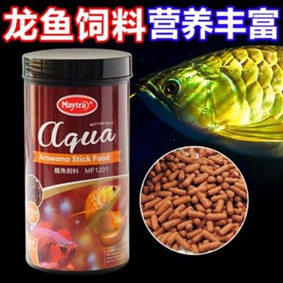 金龍魚魚苗吃什么長的快：金龍魚魚苗吃什么長得快吃什么長得快吃什么長得快