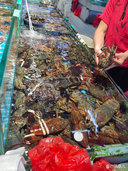 廣州哪里是批發龍魚的地方啊圖片