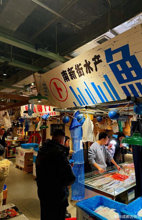 廣州哪里是批發龍魚的地方啊圖片