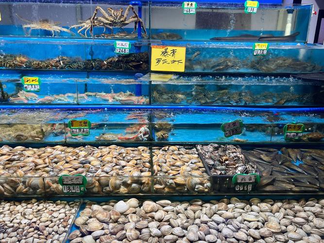 廣州哪里是批發龍魚的地方啊圖片