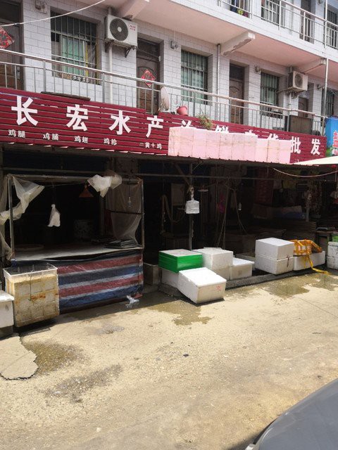 西安龍魚活體實體店在哪里賣魚好