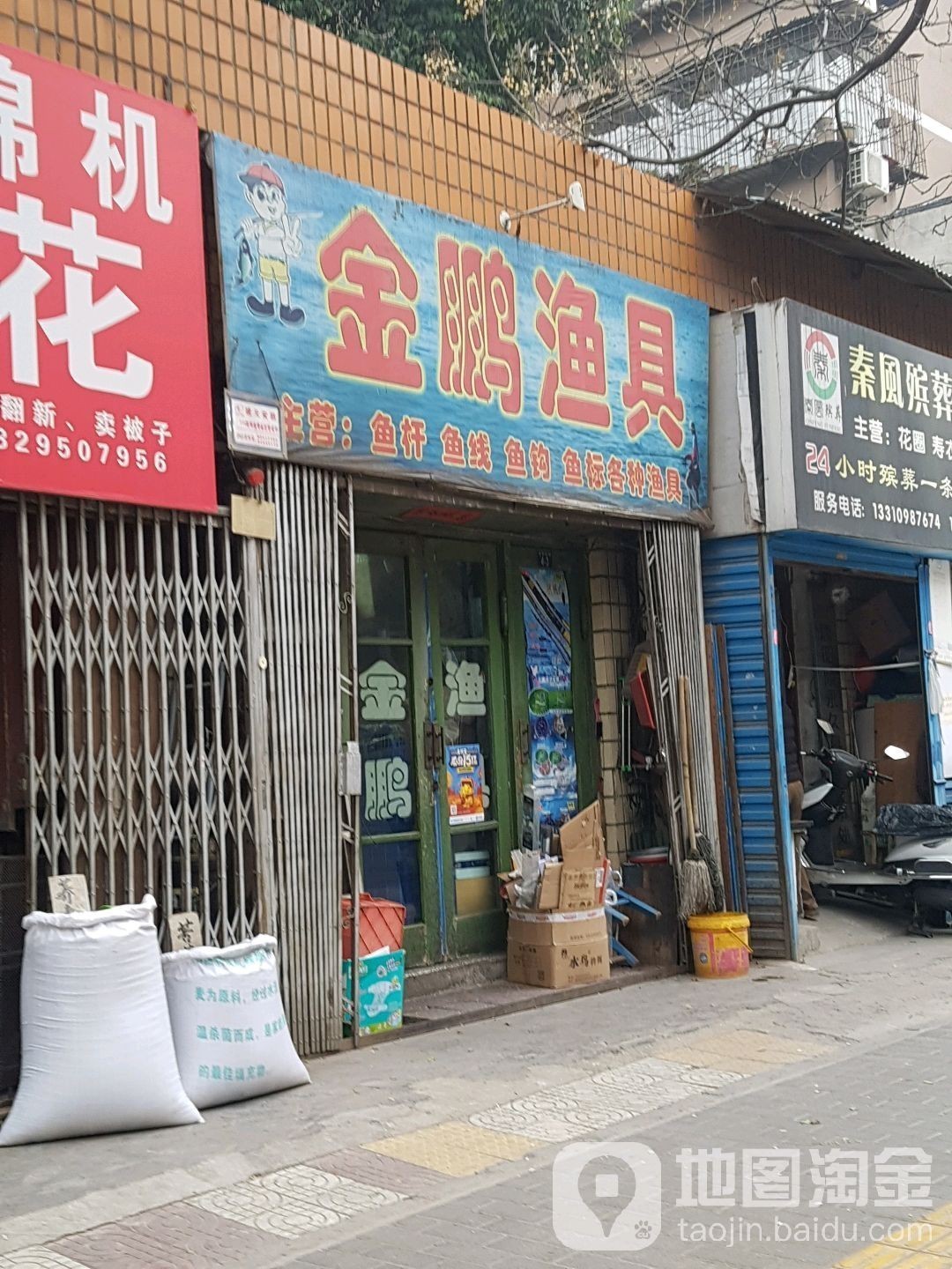西安龍魚活體實體店在哪里賣魚好