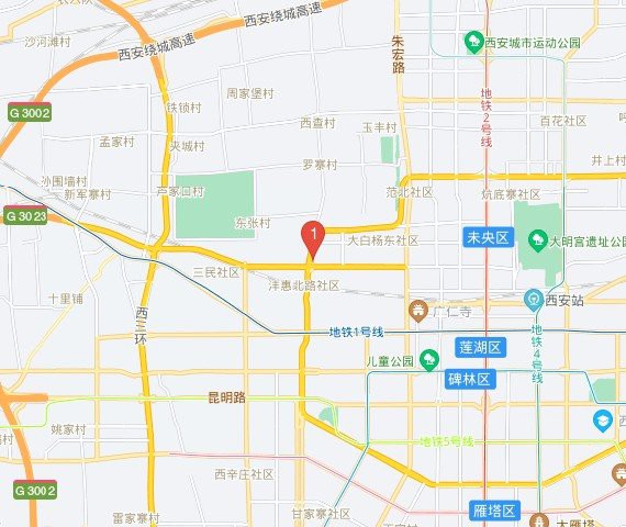 西安龍魚活體實體店在哪里賣魚好
