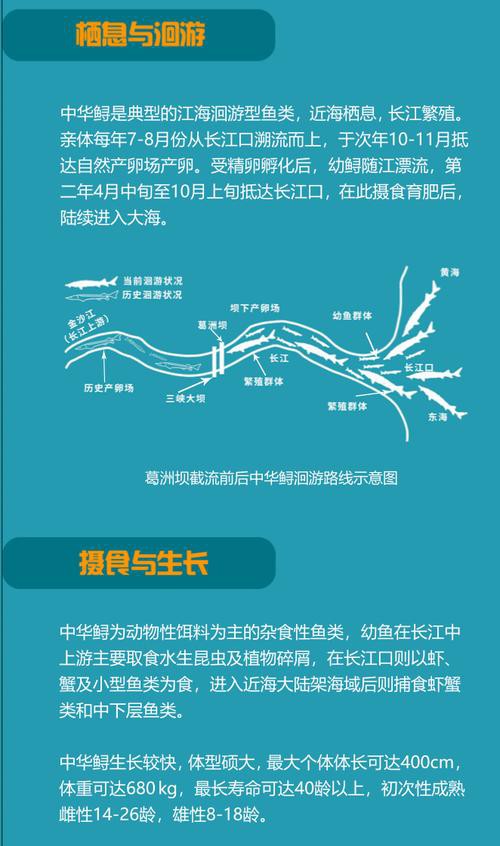 野生鱘龍魚分布圖