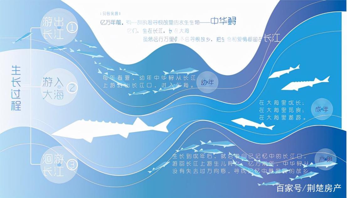 野生鱘龍魚分布圖