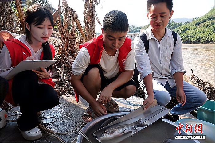 野生鱘龍魚分布圖