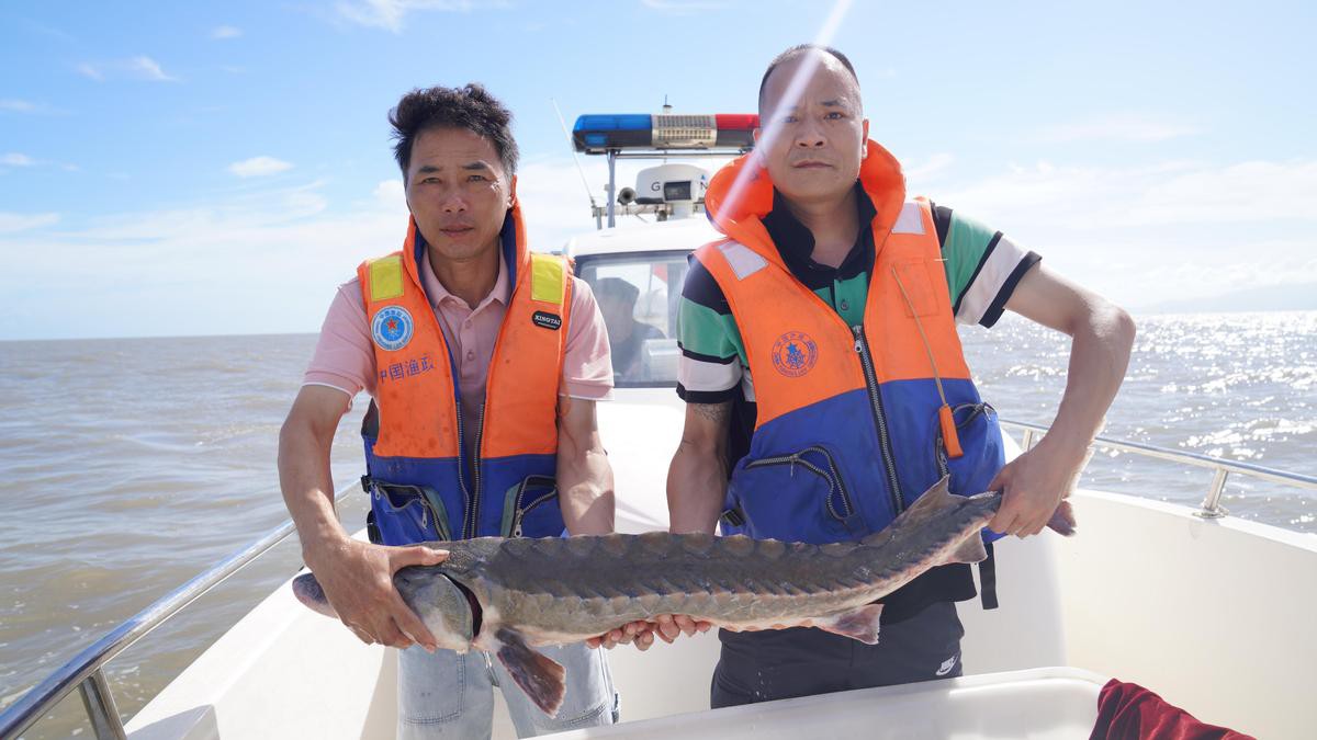 野生鱘龍魚分布圖