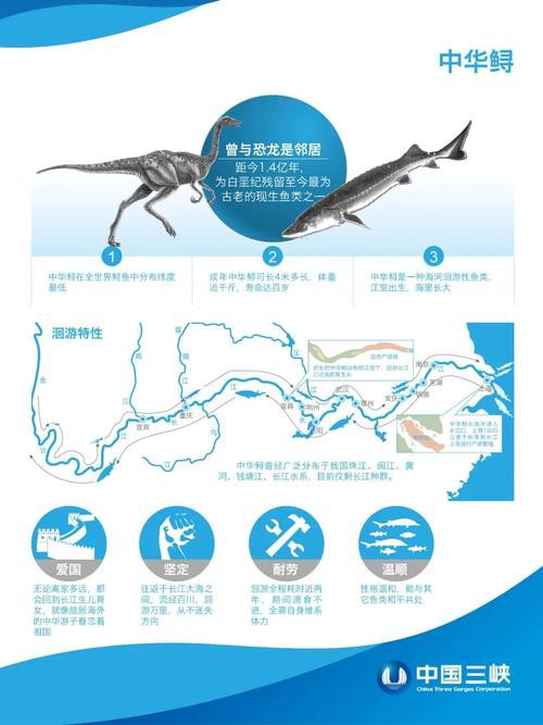 野生鱘龍魚分布圖