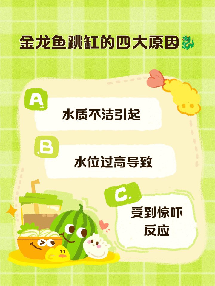 金龍魚飼料多久換一次比較好？