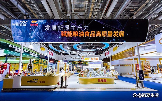 金龍魚公司全名