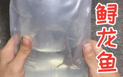 龍魚開箱的注意事項：\"龍魚開箱\"的詳細解答