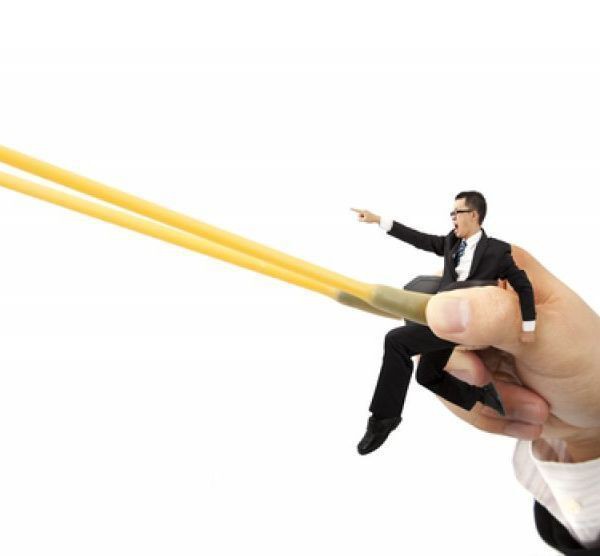 金龍魚解禁期是幾月份啊