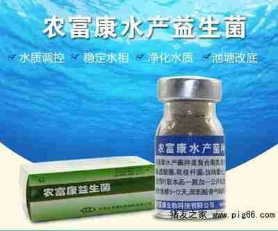 龍魚用什么維生素好養殖