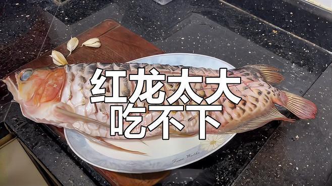 哪里的紅龍魚最正宗好吃