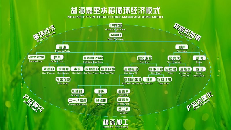 金龍魚廣西工廠的環保措施有哪些？