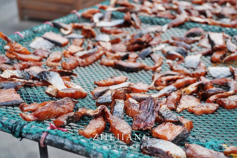 哪里龍魚凍食好賣