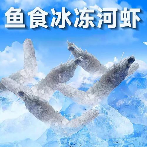 哪里龍魚凍食好賣