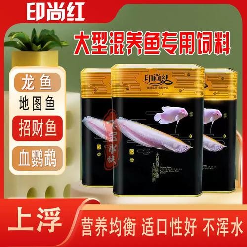 銀龍魚和什么魚混養最佳搭配圖片