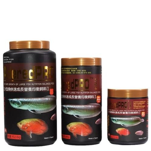 銀龍魚和什么魚混養最佳搭配圖片