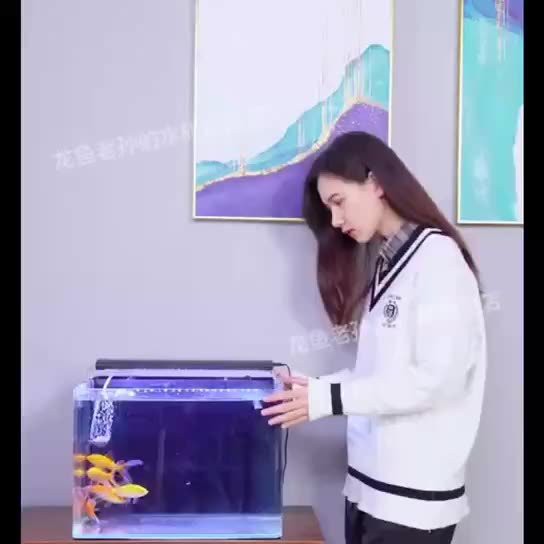 如何判斷龍魚的健康狀況？