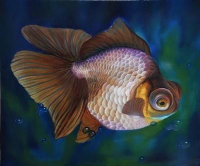 中國最貴的龍魚排名第一是什么魚（中國最貴的龍魚排名）