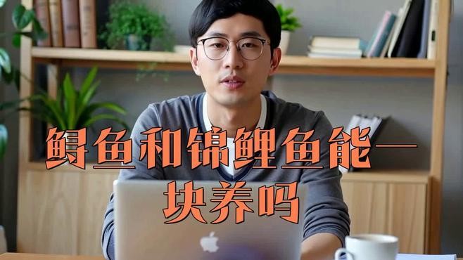 鱘龍魚怎么家養