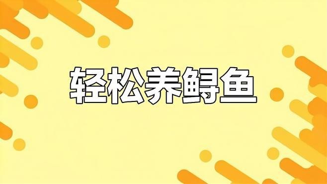 鱘龍魚怎么家養