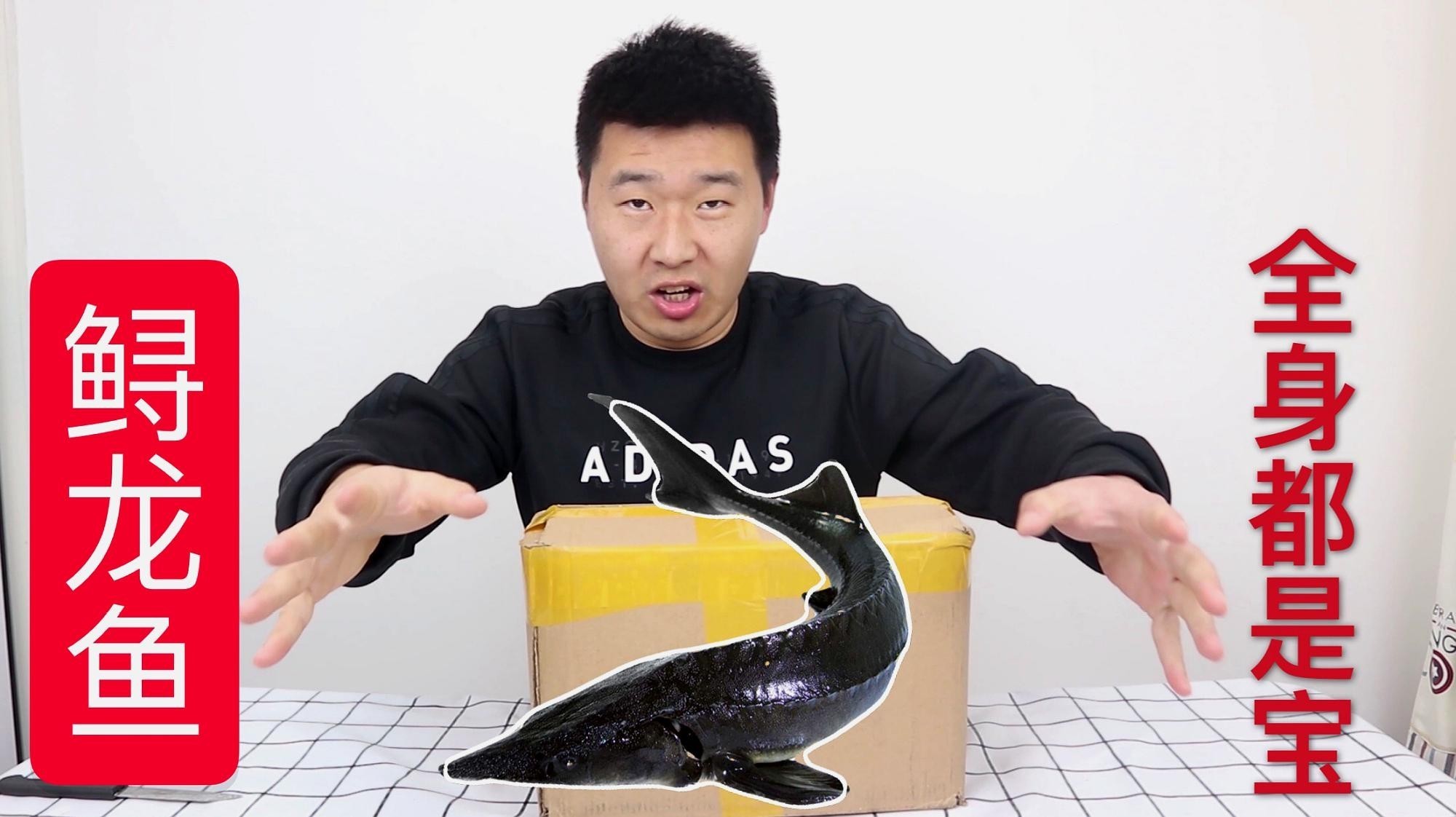 鱘龍魚怎么家養