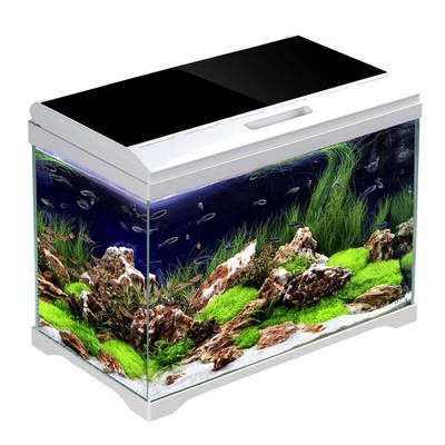 森森魚缸哪款好（森森超白魚缸價格對比森森魚缸維護技巧分享）