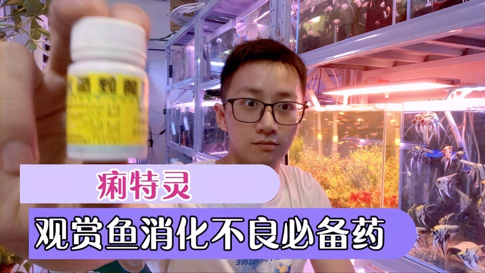 龍魚腸炎有哪些治療方法？