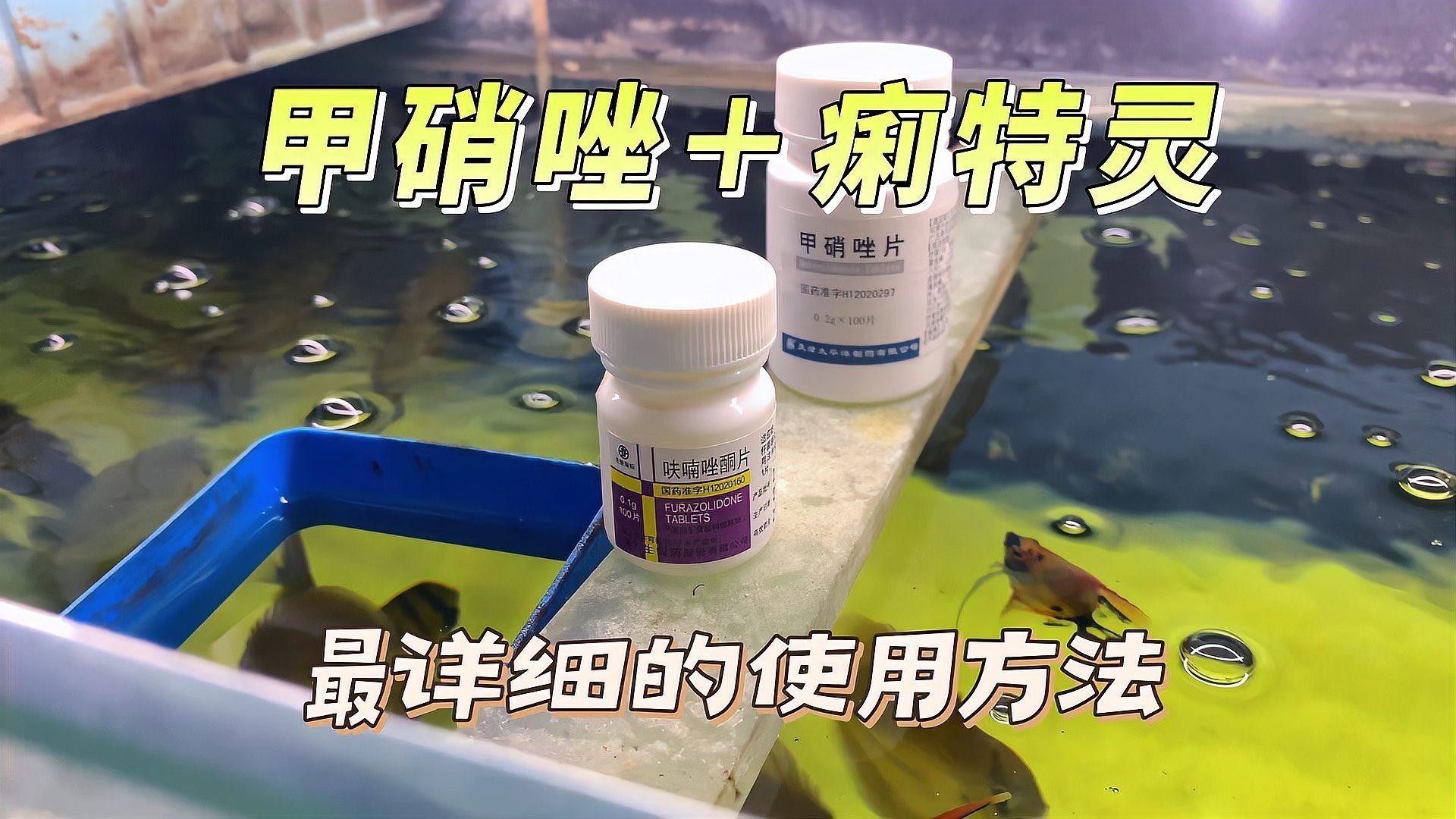 龍魚腸炎有哪些治療方法？