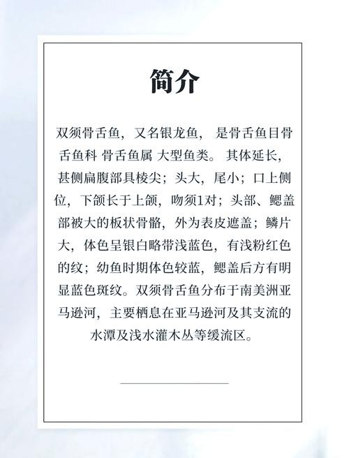 銀龍魚喂養方法圖解