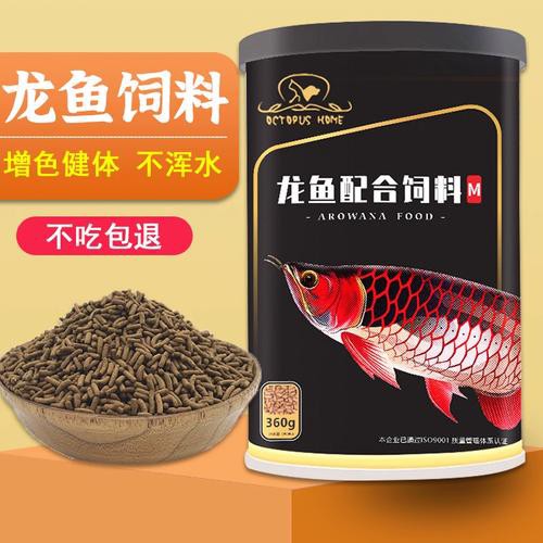 澳洲龍魚圖片大全高清