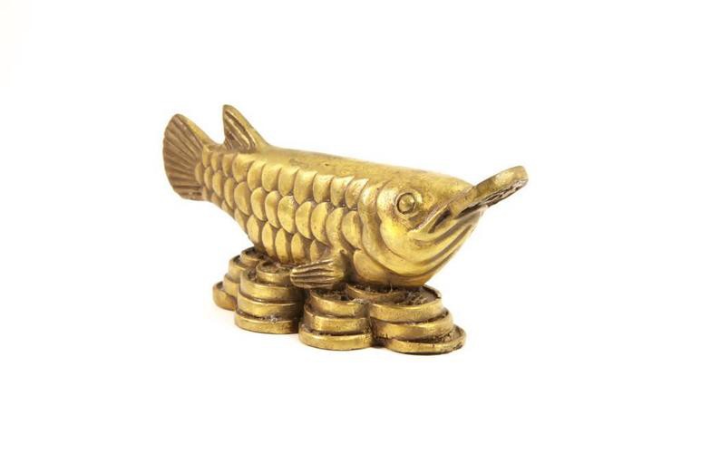 澳洲龍魚圖片大全高清