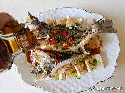 吃的龍魚是什么魚做的（史上最經典的龍魚混養及混養及混養及混養配魚介紹）