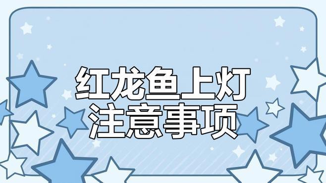 紅龍魚缸的燈光可以自動調節嗎？