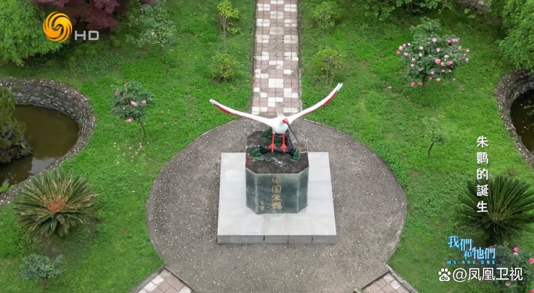 這兩種稀有品種的繁殖難度有多高？