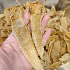 小金龍魚膠是養殖的嗎能吃嗎（小金龍魚膠對人體有什么好處？）