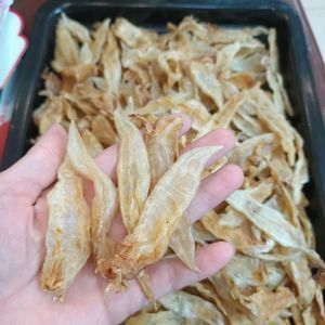 小金龍魚膠是養殖的嗎能吃嗎（小金龍魚膠對人體有什么好處？）