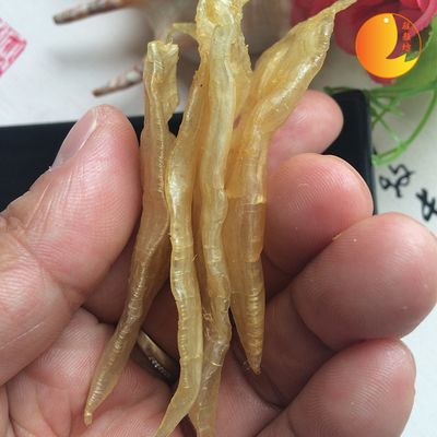 小金龍魚膠是養殖的嗎能吃嗎（小金龍魚膠對人體有什么好處？）