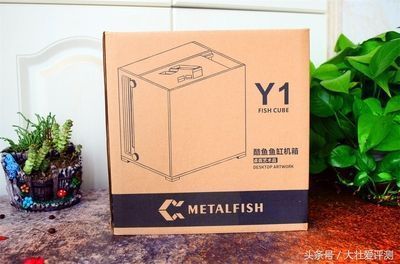 客廳魚缸買什么牌子好（客廳魚缸品牌性價比對比智能魚缸的日常維護方法）