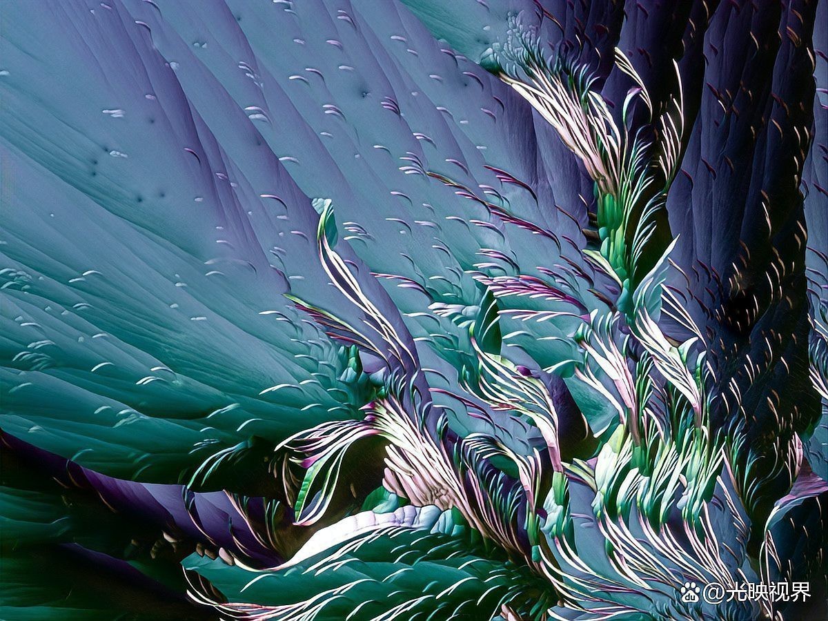 給我推薦一些龍魚攝影大師